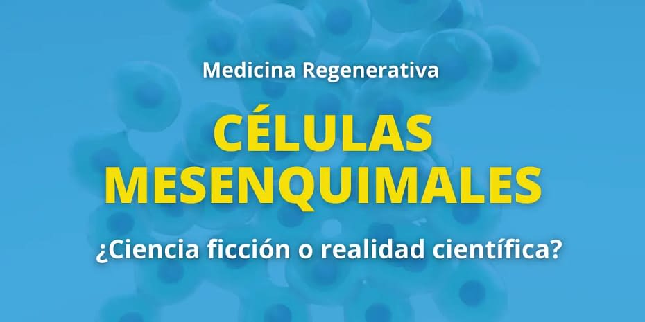 Células mesenquimales